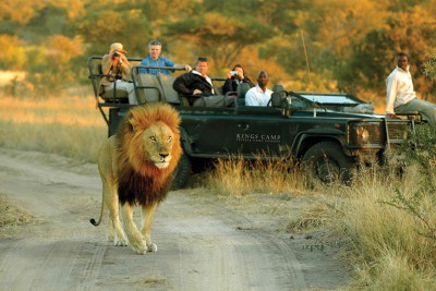 South-Africa-Tailormade-Tours-Safari-Lodge_Safari-drive-to-view-lions